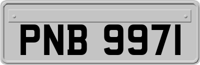 PNB9971