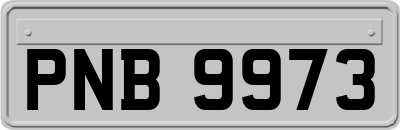 PNB9973
