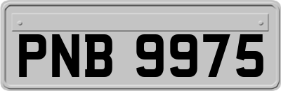 PNB9975