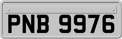 PNB9976