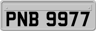 PNB9977