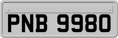 PNB9980