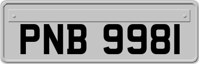 PNB9981