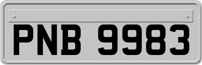 PNB9983