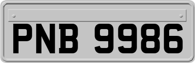 PNB9986