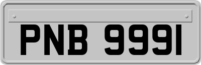 PNB9991
