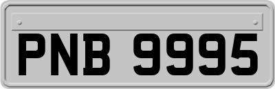 PNB9995
