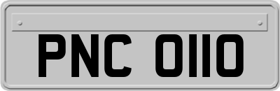 PNC0110