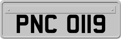 PNC0119