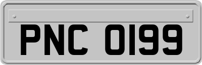 PNC0199