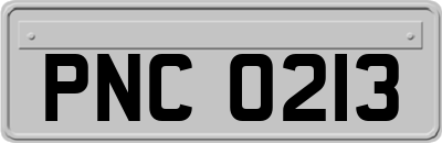 PNC0213