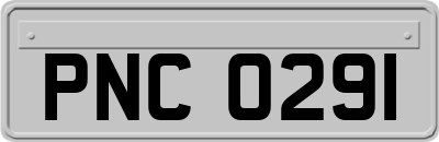 PNC0291
