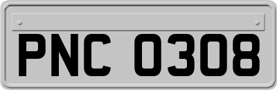 PNC0308