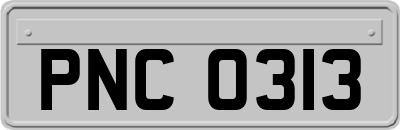 PNC0313