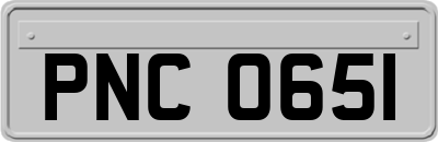PNC0651