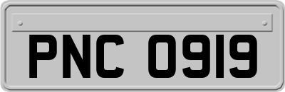 PNC0919