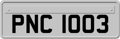 PNC1003