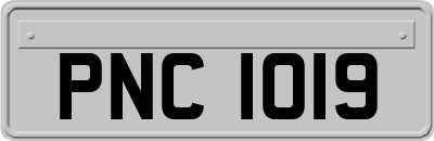 PNC1019