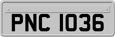 PNC1036