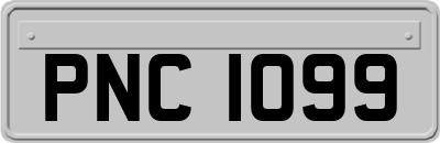 PNC1099