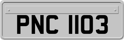PNC1103