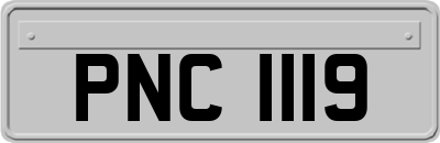PNC1119