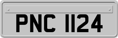 PNC1124