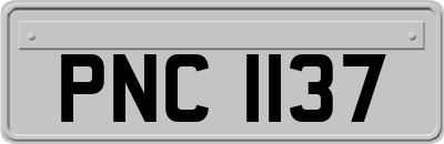 PNC1137