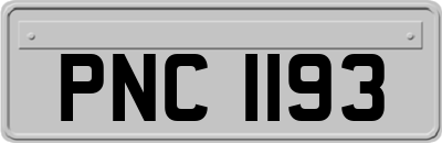 PNC1193