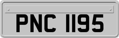 PNC1195