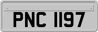 PNC1197