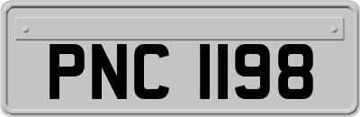 PNC1198