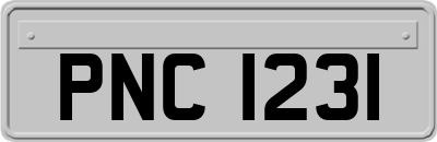 PNC1231