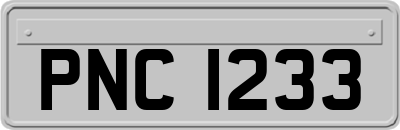 PNC1233