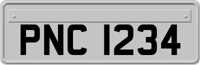 PNC1234