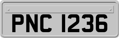 PNC1236