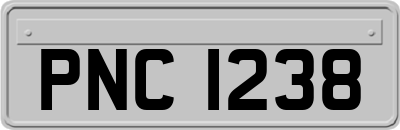 PNC1238