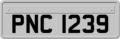 PNC1239