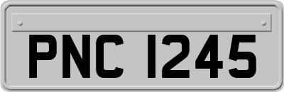 PNC1245