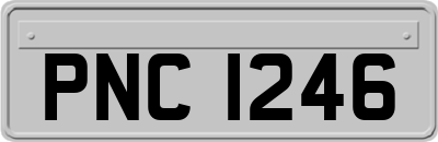 PNC1246