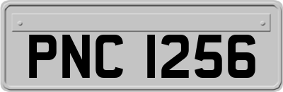 PNC1256