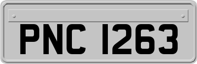 PNC1263