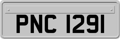PNC1291