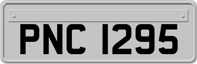 PNC1295