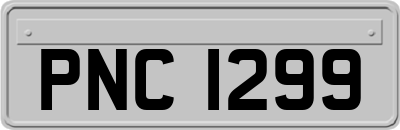 PNC1299
