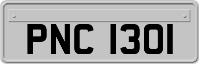 PNC1301