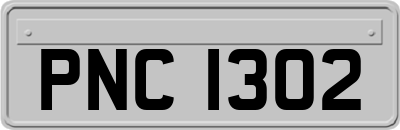 PNC1302