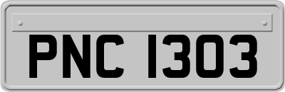 PNC1303