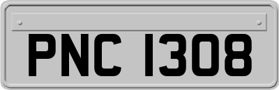 PNC1308