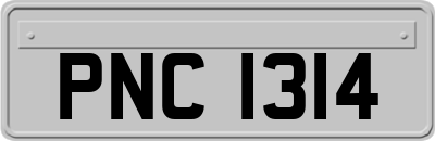 PNC1314